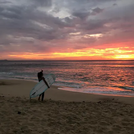 Aloha Surf Hostel-3